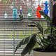 Illustration for article titled Shooting Challenge: HDR Gallery Part 3